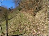 Trbovlje - Planinski dom Vrhe